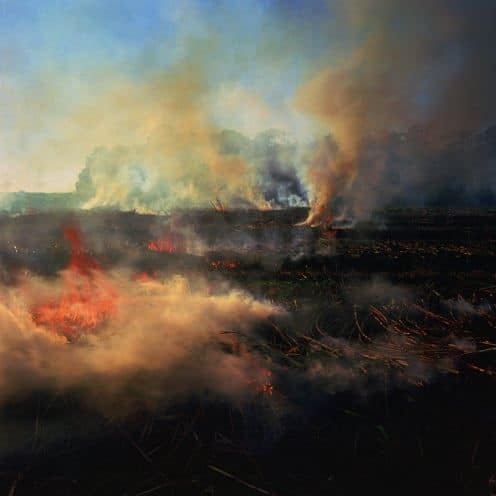 Burning sugar cane, Bayou Tesch, Louisiana by Larry Schwarm