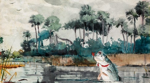 Foul Hooked Black Bass by Winslow Homer