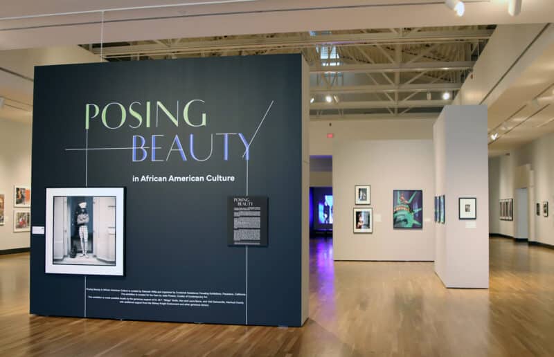 "Posing Beauty" exhibition