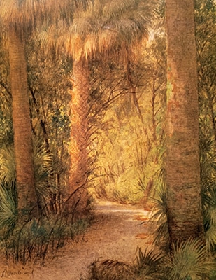 Jungle Path, Palm Beach, Florida by Laura Woodward