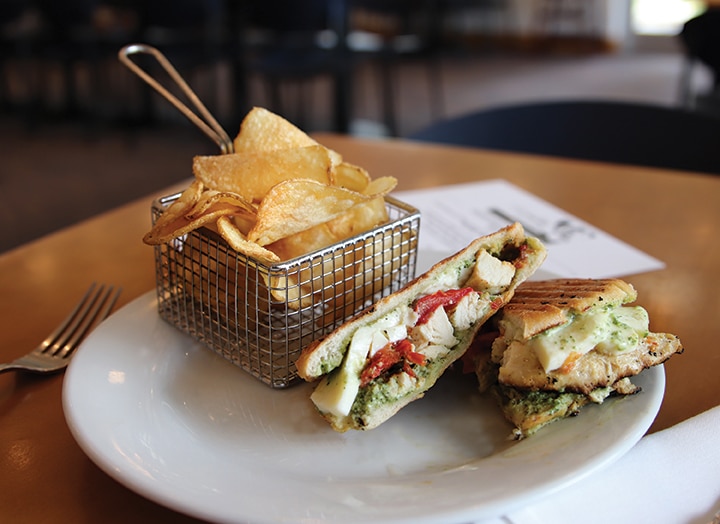 photograph of panini sandwich and chips from the Camellia Court Café